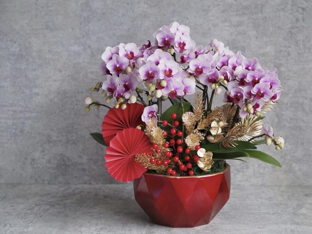 蘭花