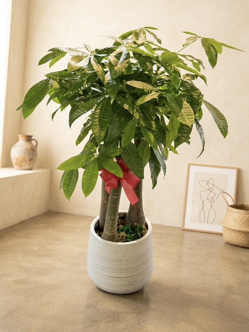 綠色植栽