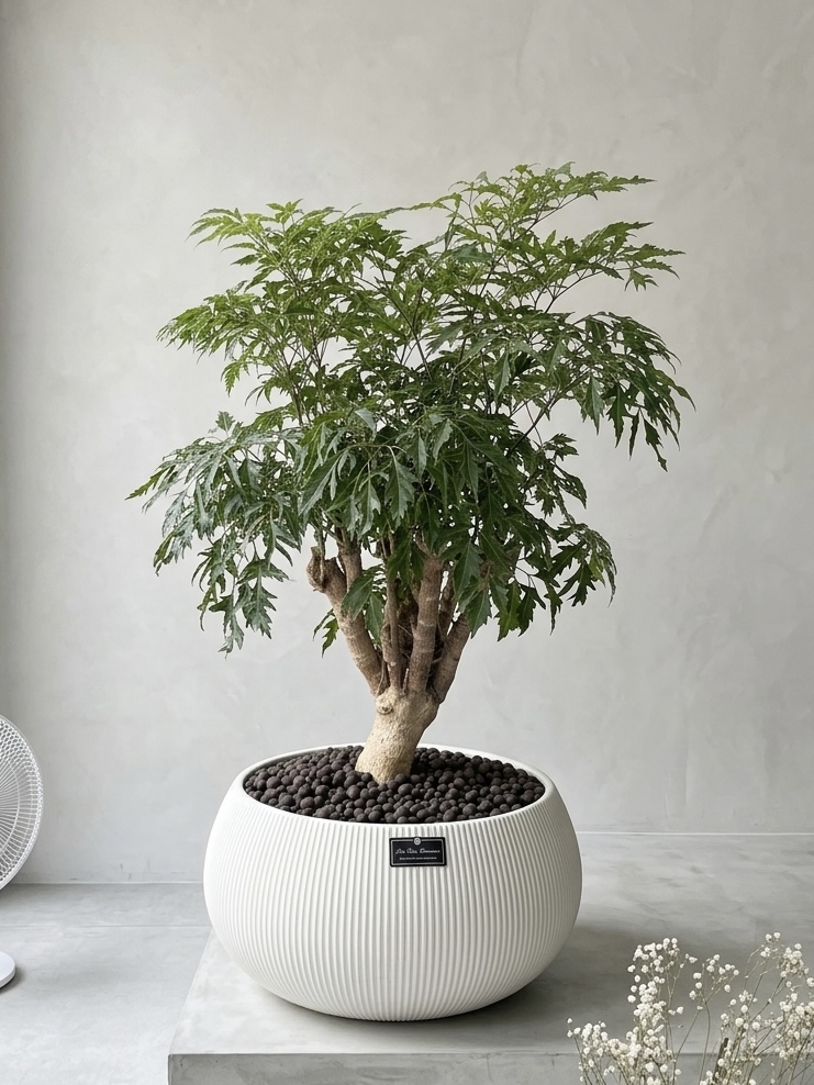 綠色植栽